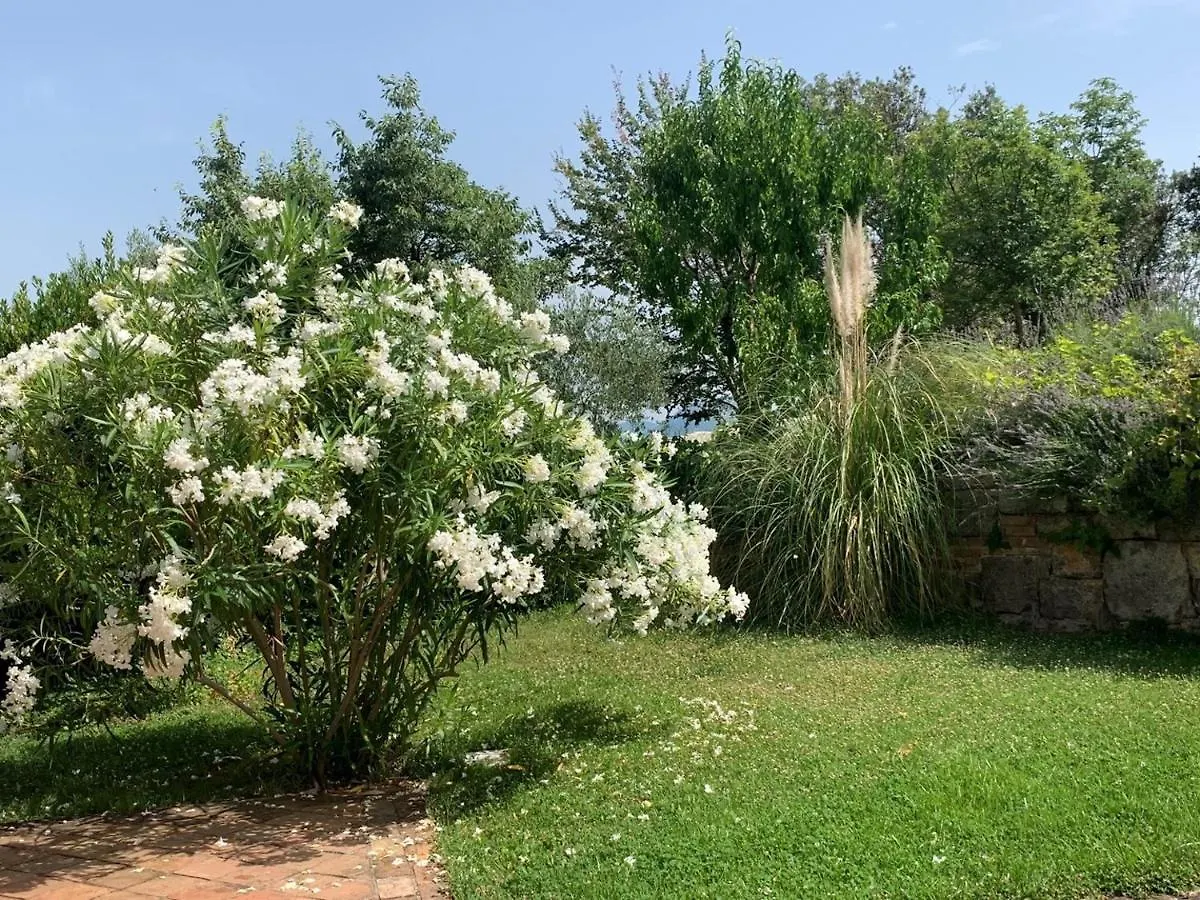 Villa Malini With Pool, Sauna And Fenced Garden